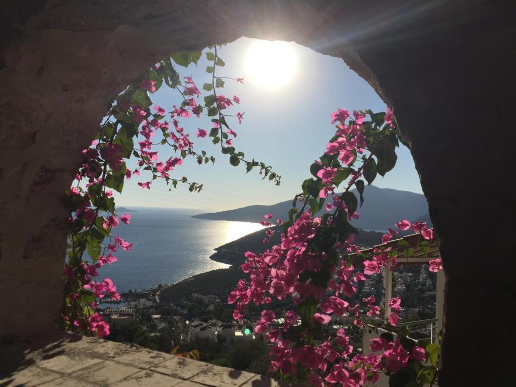 Villa Valo Kalkan Exteriér fotografie