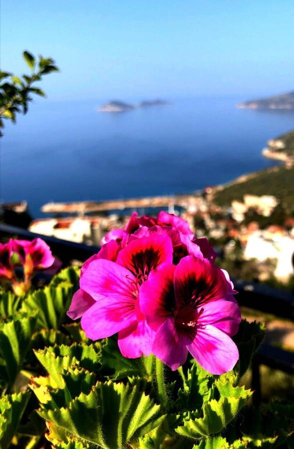 Villa Valo Kalkan Exteriér fotografie