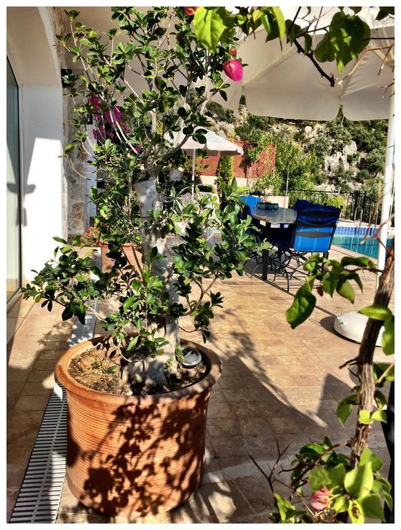 Villa Valo Kalkan Pokoj fotografie